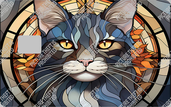 Bank  Card Sticker-BC-2320